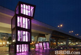 从搜索结果看摄影服务与Web设计的融合 专业化、多样化与市场需求