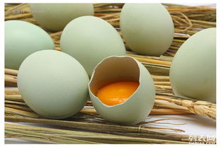 深圳食品产品拍摄服务 专业摄影摄像制作的艺术